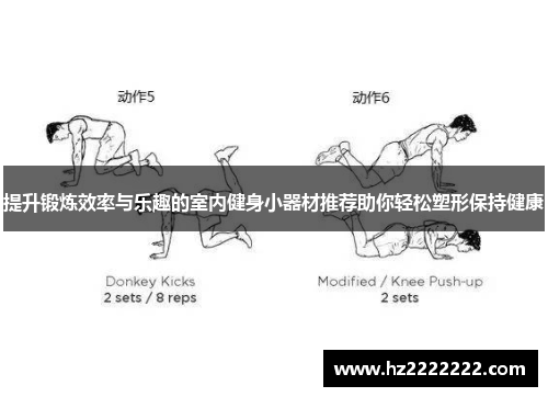 提升锻炼效率与乐趣的室内健身小器材推荐助你轻松塑形保持健康
