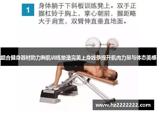 组合健身器材助力胸肌训练塑造完美上身线条提升肌肉力量与体态美感
